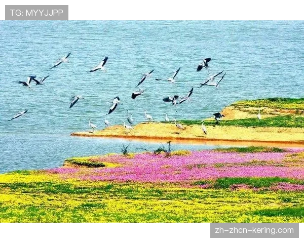 争议不断：山地车运动进入自然保护区与生态保护之间的平衡难题